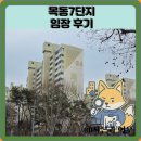 씨유목동1단지점 | 목동7단지 임장 한눈에 보기