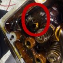 TM 모터스 이미지