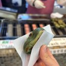 이동파출소 | [도쿄 여행] 도쿄 가볼만한 곳 여행지 추천 - <후지산 일일투어> 내돈내산 후기