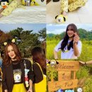 지민농장 이미지