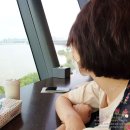 나나캣(nanacat) 이미지