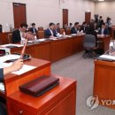 조치과 스포츠경향