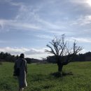 우진목장 이미지