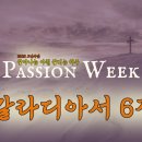 서**-6 Daum카페