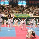 효민체육관(태권도) 이미지