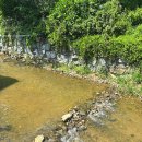 숲속의 계곡 이미지