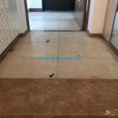 광택마을 이미지