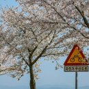 천변1길 이미지