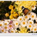 옥곡중학교 이미지