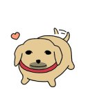비다브로우