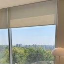 장당길 | 평택카페 l 국제대 벚꽃길 속, 숲뷰 감성카페 ‘보아즈맨션’