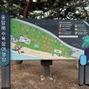 옹암 막걸리