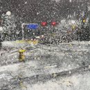 개인(정효순) 이미지