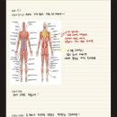 [파주] 운동 싫어요가 남기는 찐 후기, 준핏 필라테스 &amp; PT