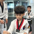 분당명성태권도장 이미지