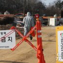 화성양돈 이미지