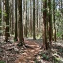 머체왓숲길영농조합법인 이미지