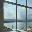 리버레인 이미지