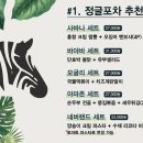 정글포차 - 용산구 이태원동 | 정글포차