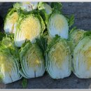 김치공장 이미지