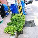 길안천 돌담집 이미지