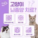 서울동물영상종양센터 네이버블로그