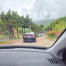 청룡사 | 사천 청룡사 겹벚꽃 나들이 후기