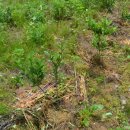 선임농장 이미지