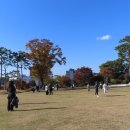 남산공원길 이미지