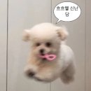대박미인 | 서면 경락 수기미인 에스테틱 효과 후기