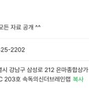 꼬꼬리아 이미지