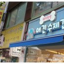 투니애견미용실 이미지