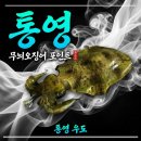 아라펜션민박 | 통영 우도 펜션 송도호민박 식당 후기 및 무늬오징어 포인트