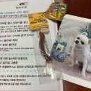 펫트리멍 이미지