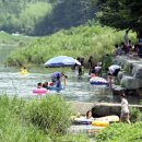 반딧불이 캠핑장 이미지