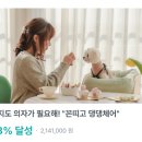 댕댕스토리 이미지