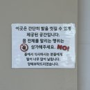 푸르댕댕 이미지