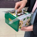 라오니아 이미지