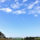 윤기목장 이미지