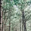 서울숲길 이미지