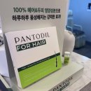 세운약국 | 남자 여자 탈모치료제 로게인폼 내돈내산 후기 가격 효과 부작용