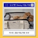 빨리펫 | 강아지 이동가방 추천｜기내반입 가능한 오르펫 반려동물 이동가방 후기