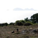 노블펜션 이미지