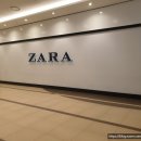 에블린 영풍 이미지