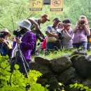 고양시 덕양노인종합복지관 이미지