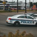 나비약국 이미지