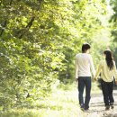 오아시스 이미지