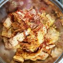 배운돼지