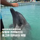 안도웰빙체험장(안도마을) | 오키나와 모토부건강마을 아기랑 여행 돌고래 체험 예약 입장료 할인
