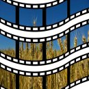 사랑한개너양 이미지